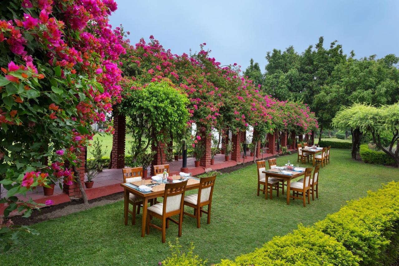 Naturoville Wellness Resort Rishikesh - Surrounded By Nature, Rooted In Wellness Doiwāla Εξωτερικό φωτογραφία